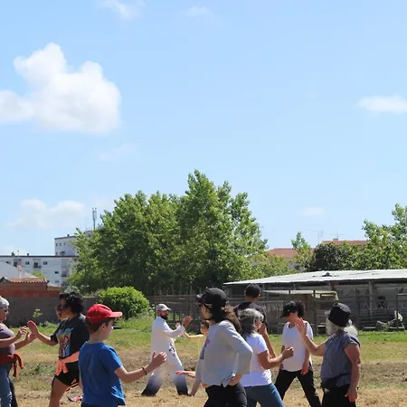 Bed & Breakfast Noctua Villam 3*