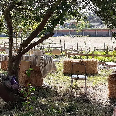 Noctua Villam Bed & Breakfast 3*