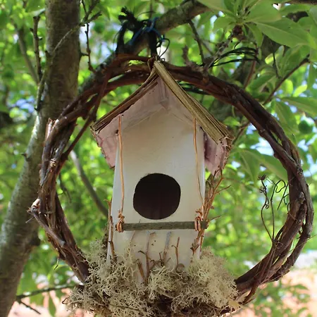 Noctua Villam Nocleg ze śniadaniem Marinha Grande